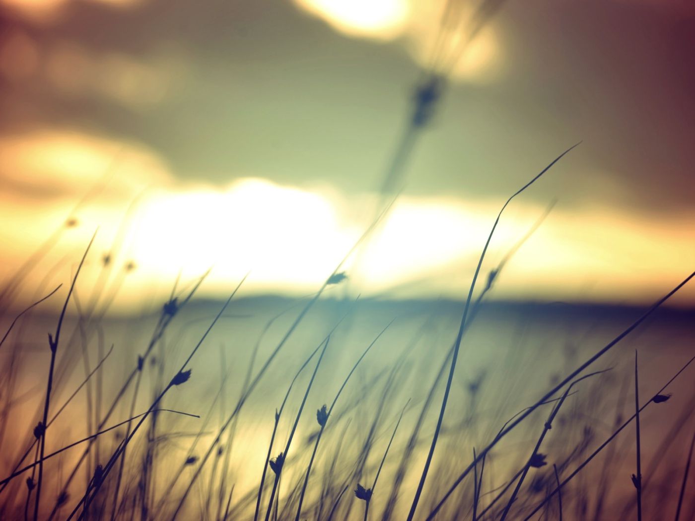 The Toddlerhood Stage and Independence