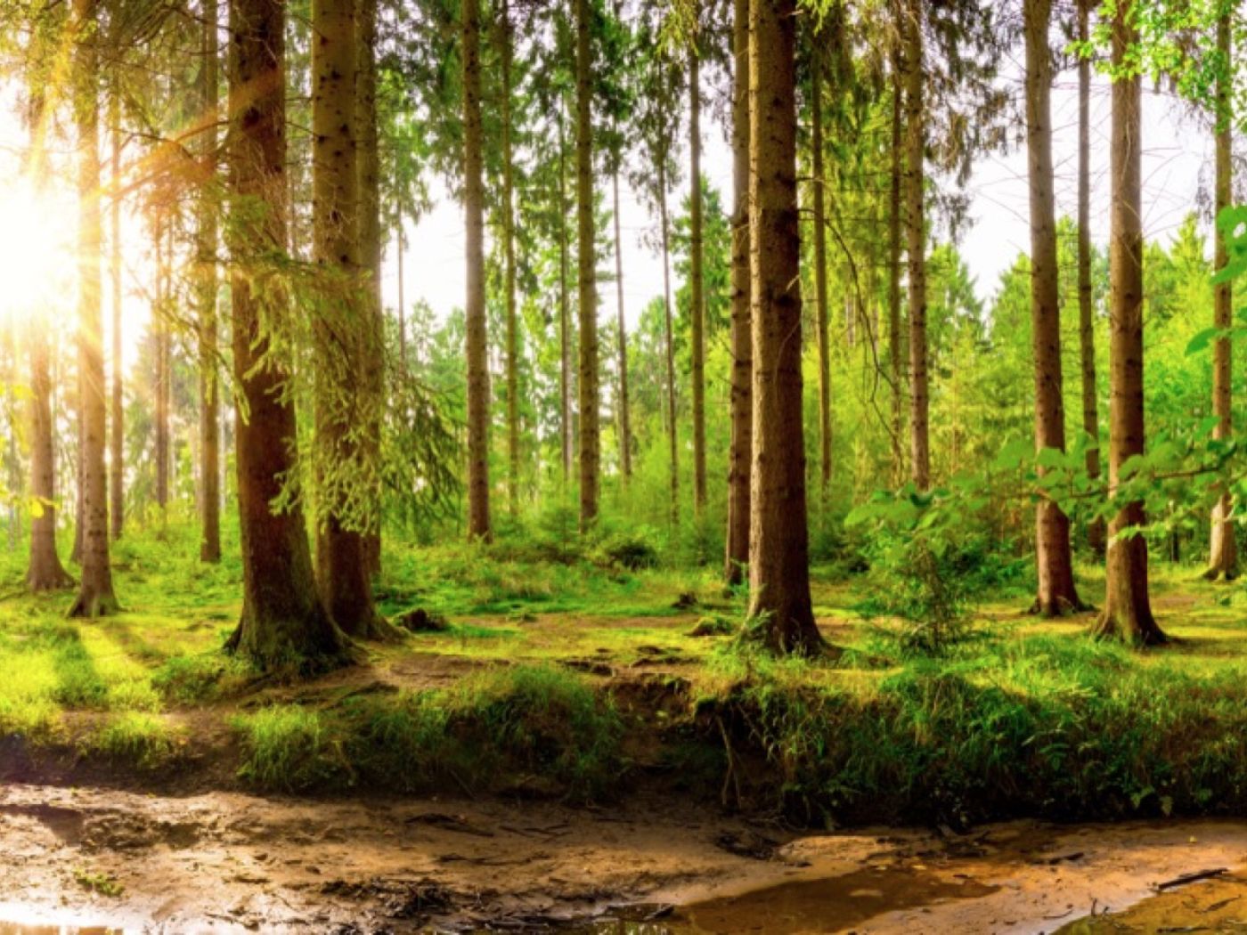 What depression feels like